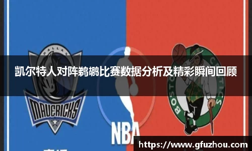 凯尔特人对阵鹈鹕比赛数据分析及精彩瞬间回顾